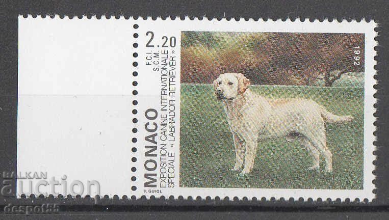 1992. Μονακό. Διεθνής Έκθεση Σκύλων, Μόντε Κάρλο.