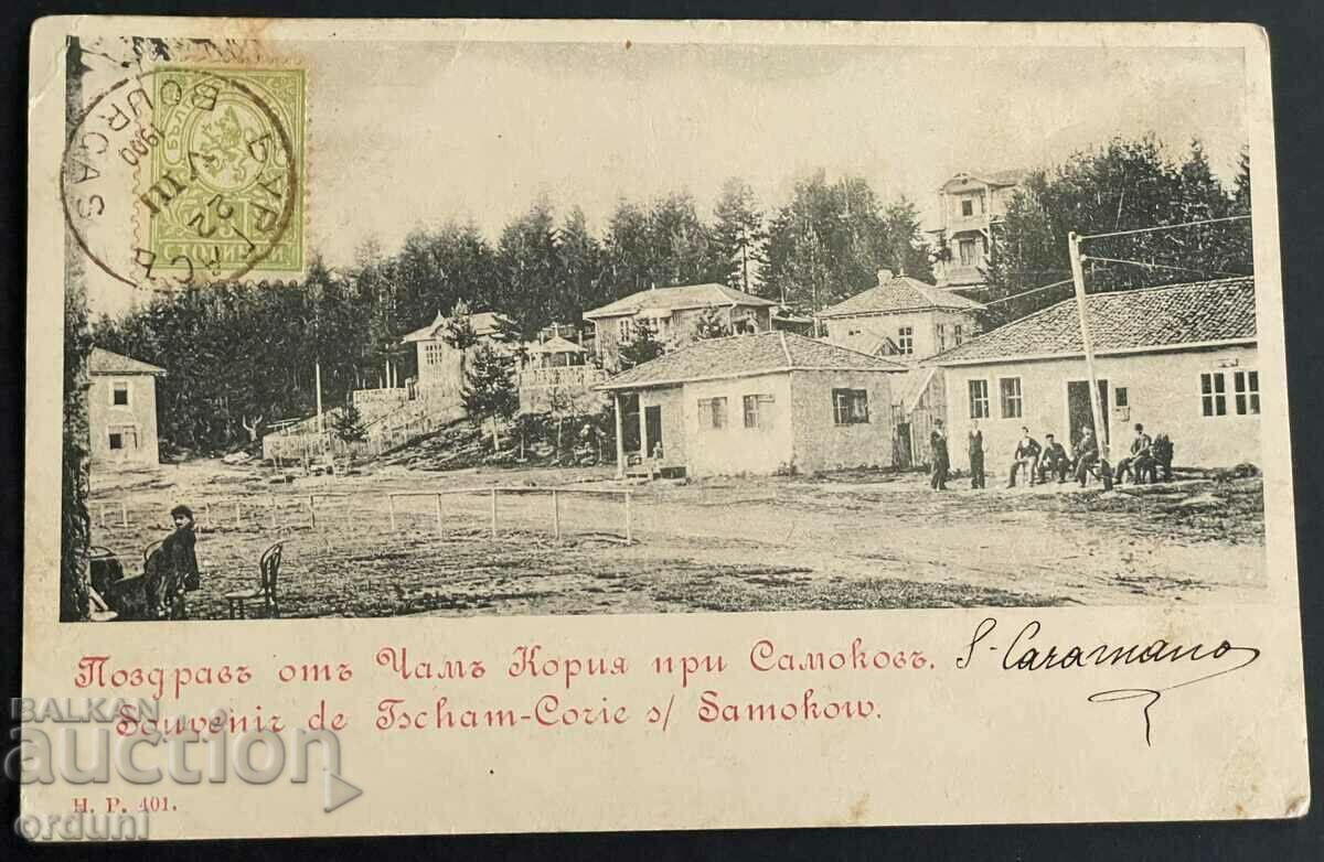 2977 Regatul Bulgariei Cham Koria și Samokov 1900