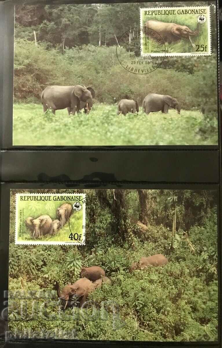 Gabon 1988 - 4 cards Maximum - WWF with price 4.00 BGN | € 2.05 Gabon 1988 - 4 cards Maximum - WWF with price 4.00 BGN | € 2.05