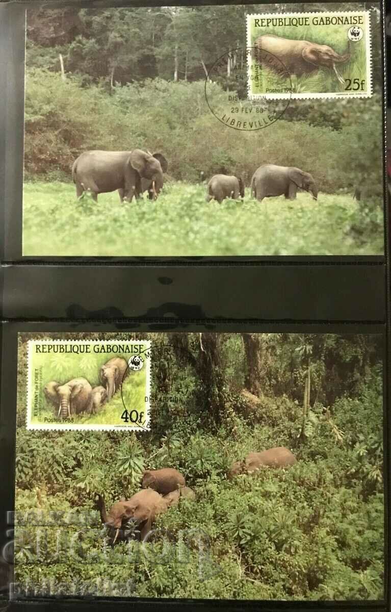 Gabon 1988 - 4 cards Maximum - WWF with price 4.10 BGN | € 2.10 Gabon 1988 - 4 cards Maximum - WWF with price 4.10 BGN | € 2.10