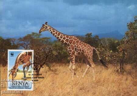 Kenya 1989 4 pieces Cards Maximum - WWF with price 4.00 BGN | € 2.05