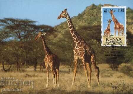 Kenya 1989 4 piese Carduri Maximum - WWF