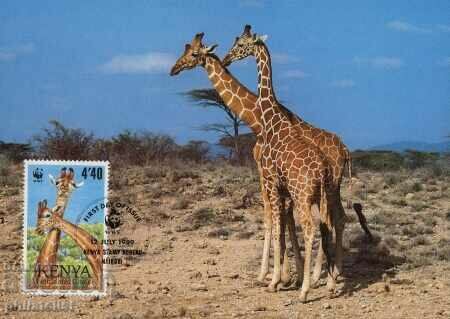 Auction Kenya 1989 4 pieces Cards Maximum - WWF Auction Kenya 1989 4 pieces Cards Maximum - WWF