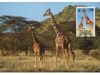 Kenya 1989 4 pieces Cards Maximum - WWF