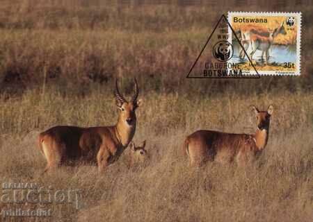 Auction Botswana 1988 - 4 cards Maximum - WWF Auction Botswana 1988 - 4 cards Maximum - WWF