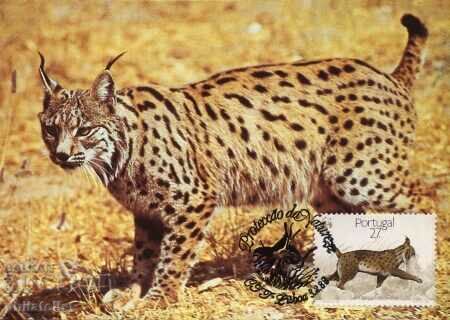 Portugal 1988 - 4 cards Maximum - WWF with price 4.00 BGN | € 2.05 Portugal 1988 - 4 cards Maximum - WWF with price 4.00 BGN | € 2.05