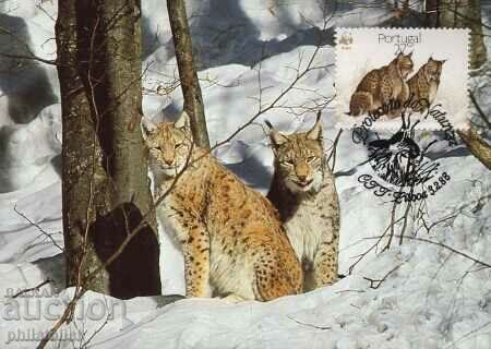 Auction Portugal 1988 - 4 cards Maximum - WWF Auction Portugal 1988 - 4 cards Maximum - WWF