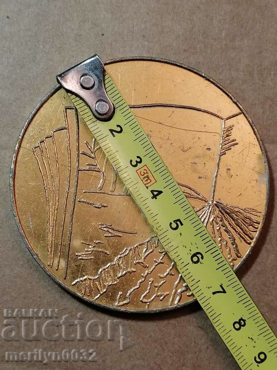 Παράδοση ΜΕΤΑΛΛΙΑΚΗ ΠΛΑΚΕΤΑ Οργωμένο σέλινο ΕΣΣΔ Παράδοση ΜΕΤΑΛΛΙΑΚΗ ΠΛΑΚΕΤΑ Οργωμένο σέλινο ΕΣΣΔ