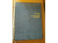 Εικόνες ζωγράφων Trevne