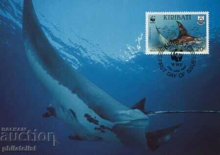 Auction Kiribati 1991 - 4 cards Maximum - WWF Auction Kiribati 1991 - 4 cards Maximum - WWF