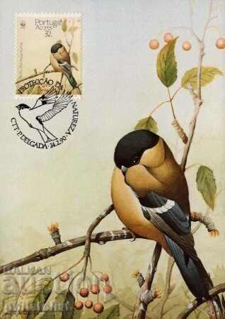 Azores - Portugal 1990 4 cards Maximum with price 4.00 BGN | € 2.05 Azores - Portugal 1990 4 cards Maximum with price 4.00 BGN | € 2.05