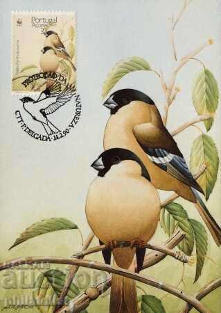 Auction Azores - Portugal 1990 4 cards Maximum Auction Azores - Portugal 1990 4 cards Maximum