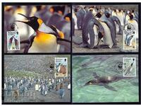 Falkland Islands 1991 - 4 cards Maximum - WWF