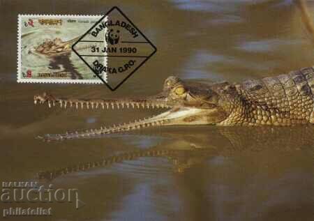 Bangladesh 1990 - 4 cards Maximum - WWF with price 4.00 BGN | € 2.05 Bangladesh 1990 - 4 cards Maximum - WWF with price 4.00 BGN | € 2.05