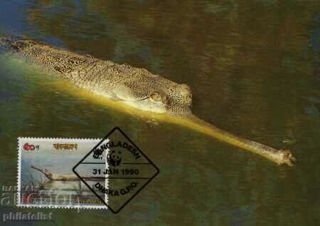 Delivery of Bangladesh 1990 - 4 cards Maximum - WWF Delivery of Bangladesh 1990 - 4 cards Maximum - WWF