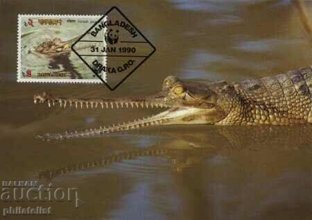 Bangladesh 1990 - 4 cards Maximum - WWF with price 4.10 BGN | € 2.10 Bangladesh 1990 - 4 cards Maximum - WWF with price 4.10 BGN | € 2.10