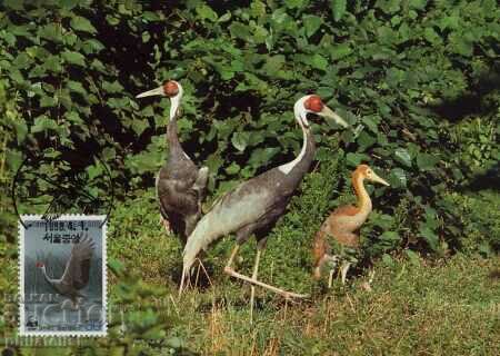 Korea 1988 - 4 cards Maximum - WWF with price 4.00 BGN | € 2.05 Korea 1988 - 4 cards Maximum - WWF with price 4.00 BGN | € 2.05