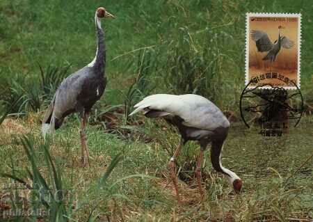 Auction Korea 1988 - 4 cards Maximum - WWF Auction Korea 1988 - 4 cards Maximum - WWF