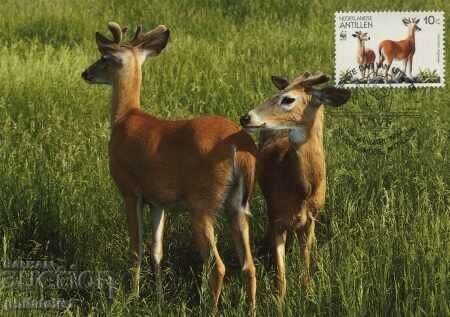 Auction Netherlands Antilles 1992 - 4 cards Maximum - WWF Auction Netherlands Antilles 1992 - 4 cards Maximum - WWF