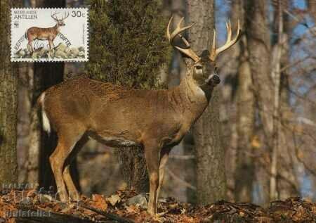 Netherlands Antilles 1992 - 4 cards Maximum - WWF with price 4.05 BGN | € 2.07