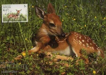 Delivery of Netherlands Antilles 1992 - 4 cards Maximum - WWF