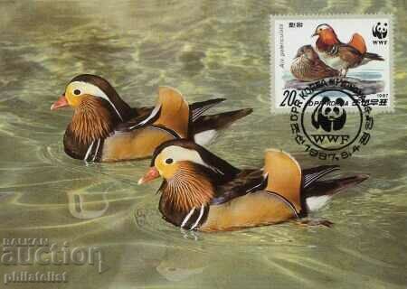 North Korea 1987 - 4 cards Maximum - WWF with price 4.10 BGN | € 2.10