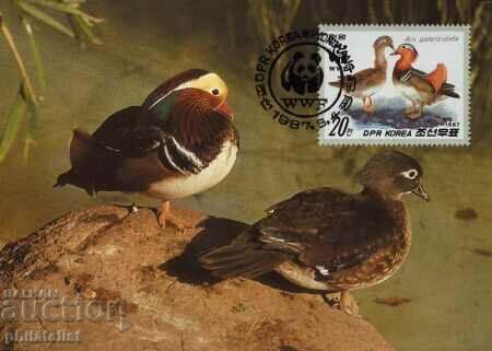 Auction  North Korea 1987 - 4 cards Maximum - WWF