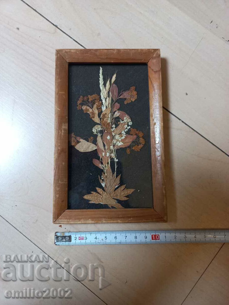 Herbarium in a SBH frame