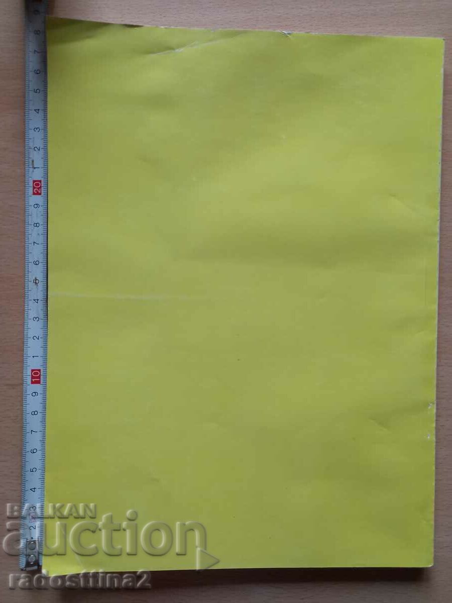 Fine art for 10th grade with price 4.99 BGN | € 2.55