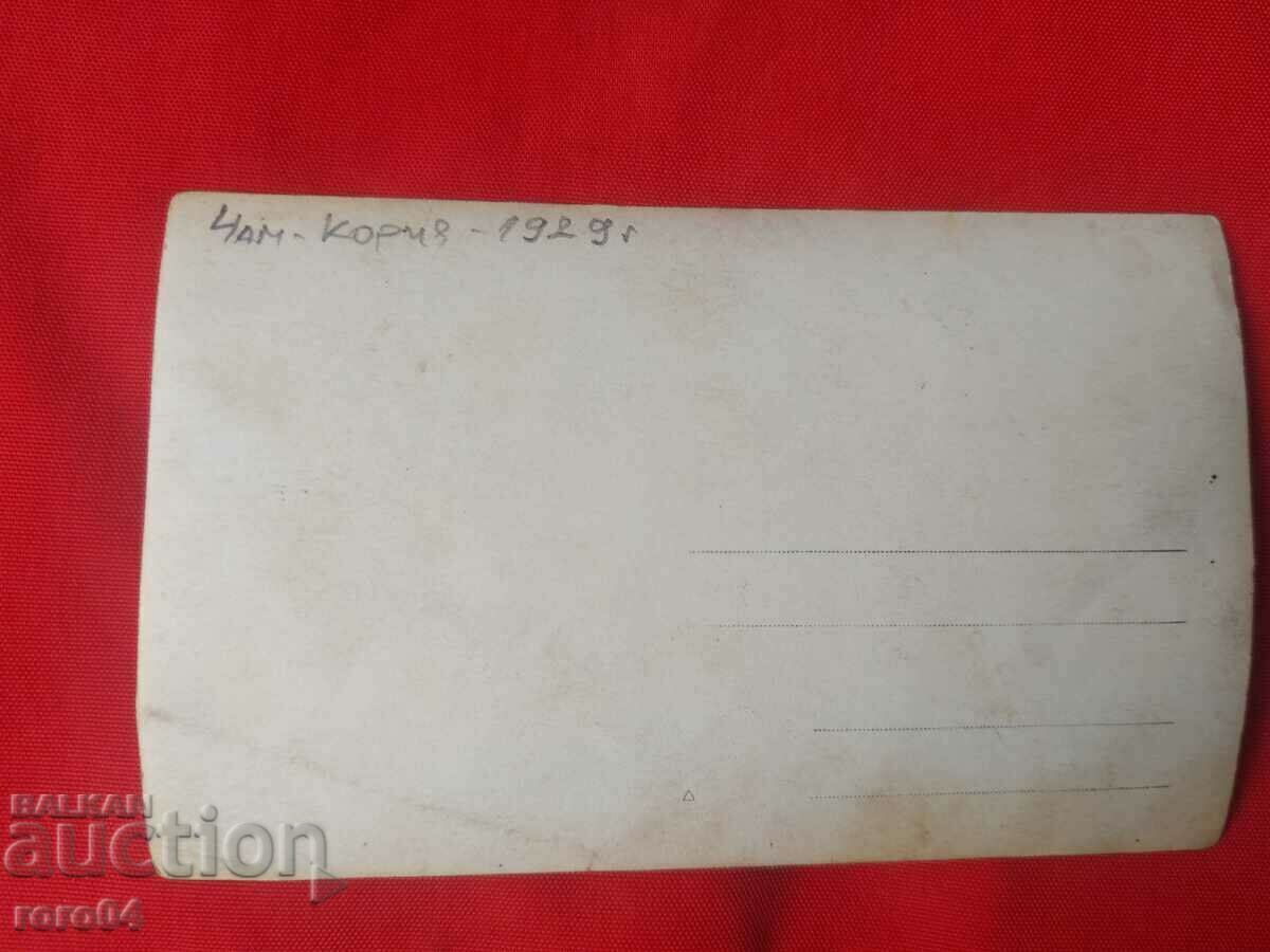 CHAMKORIA - 1929 - 6 CHAMKORIA - 1929 - 6