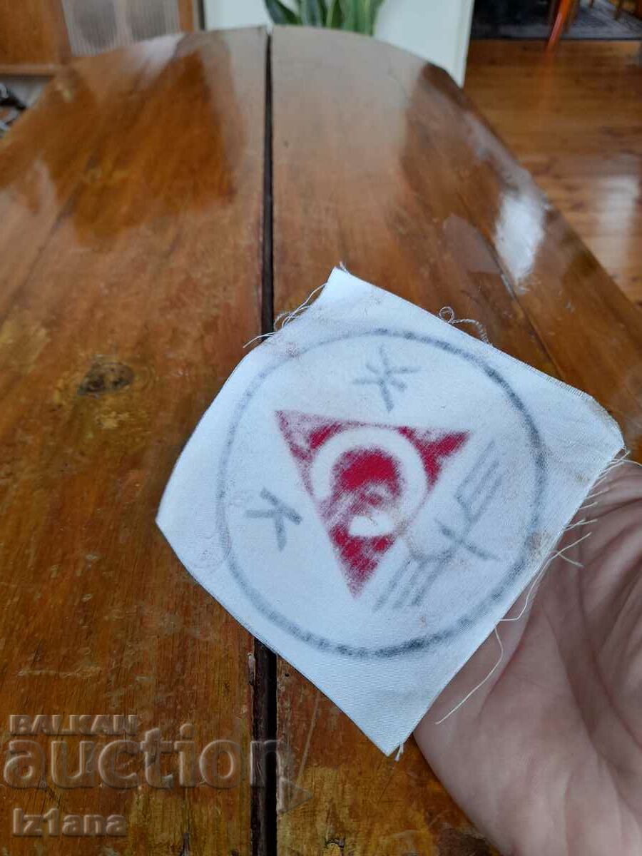 Auction  Old emblem of ZSK Slavia