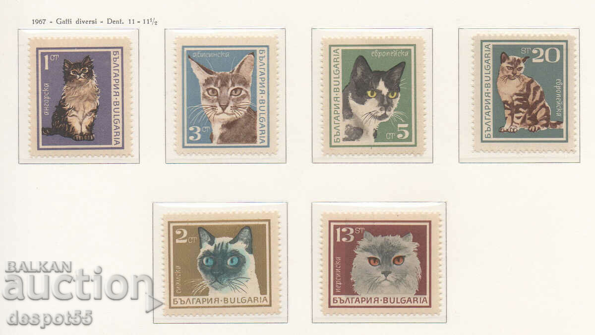 1967. Βουλγαρία. Γάτες.