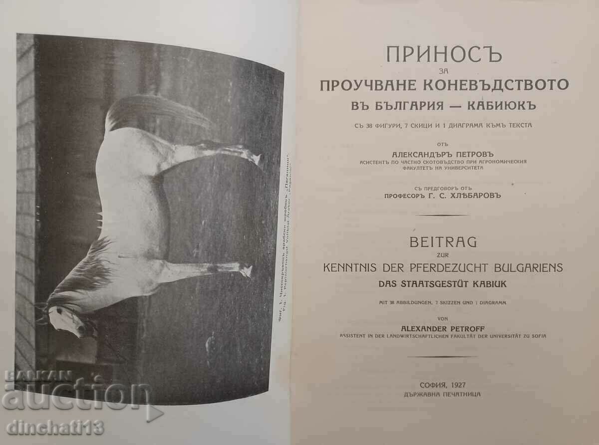 Contribution to horse breeding in Bulgaria - Kabiyuk. Kon Kabiyuk with price 280.00 BGN | € 143.16 Contribution to horse breeding in Bulgaria - Kabiyuk. Kon Kabiyuk with price 280.00 BGN | € 143.16