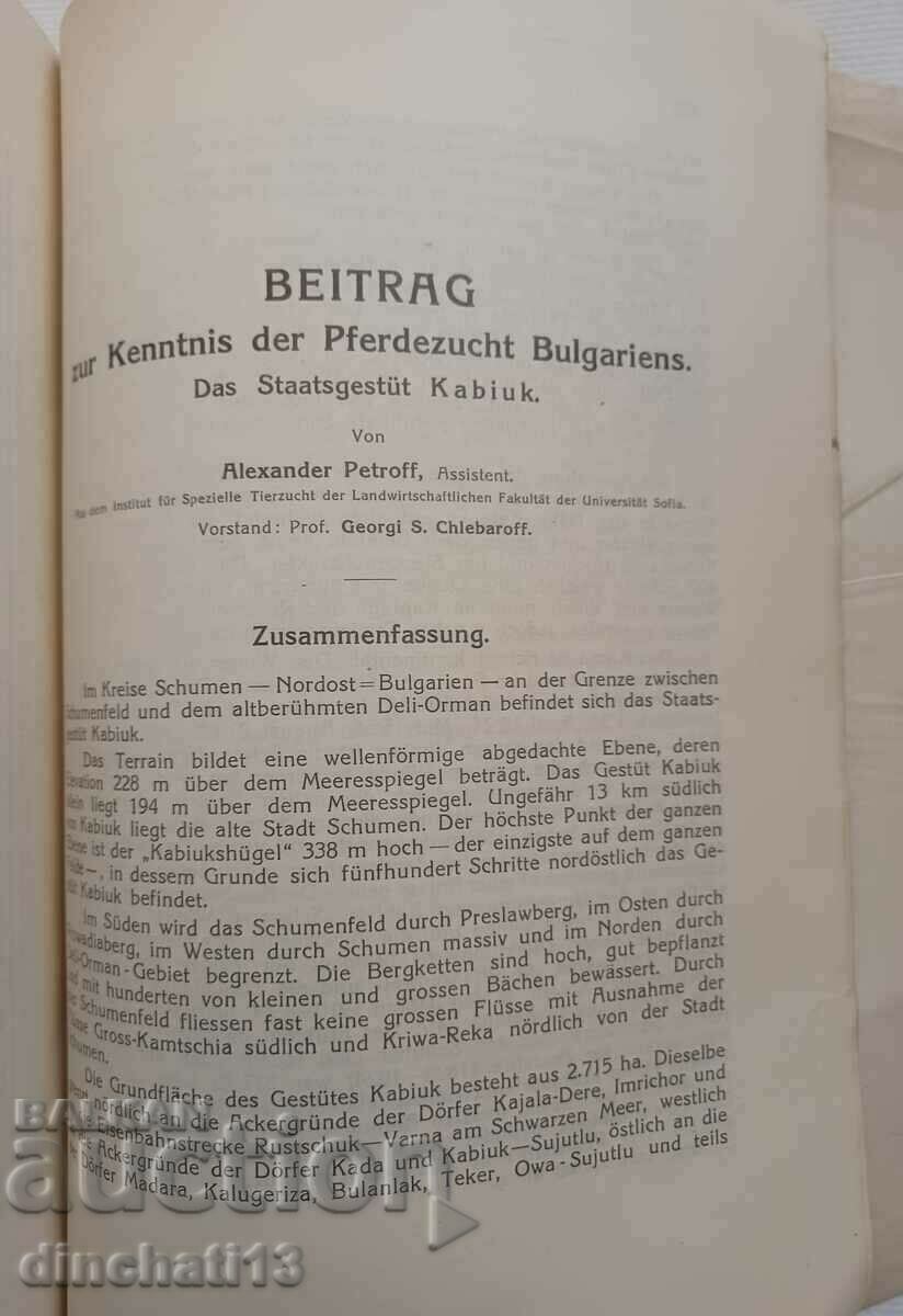 Contribution to horse breeding in Bulgaria - Kabiyuk. Kon Kabiyuk - 5 Contribution to horse breeding in Bulgaria - Kabiyuk. Kon Kabiyuk - 5