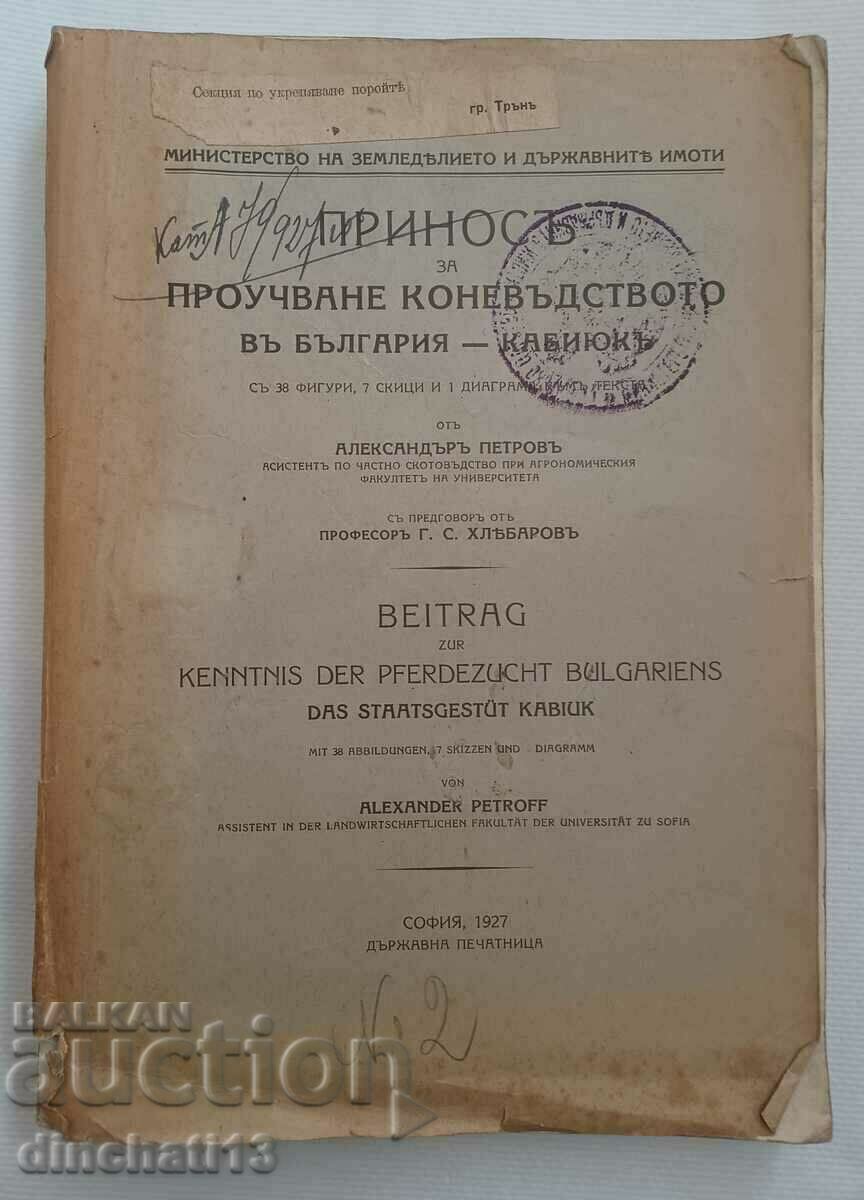 Приносъ за коневъдството въ България - Кабиюкъ. Кон Кабиюк