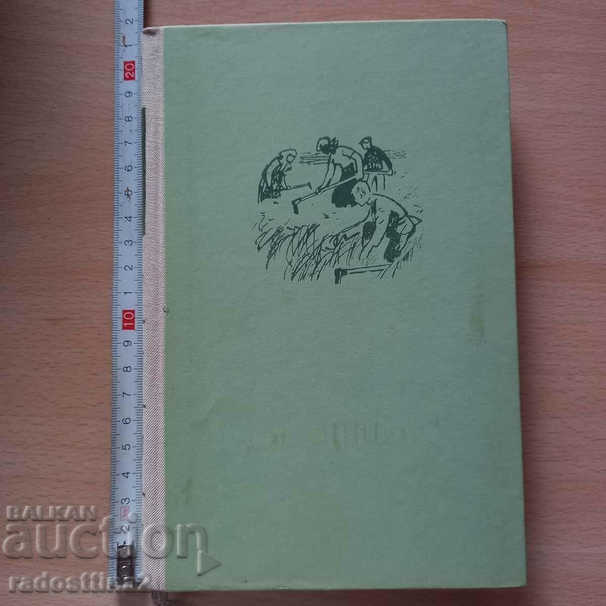 The Mikhail Zhestyov Gold Ring