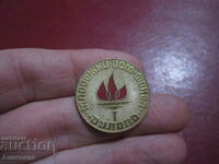 DULOVO YOUTH HOME TORCH SOCIAL BADGE