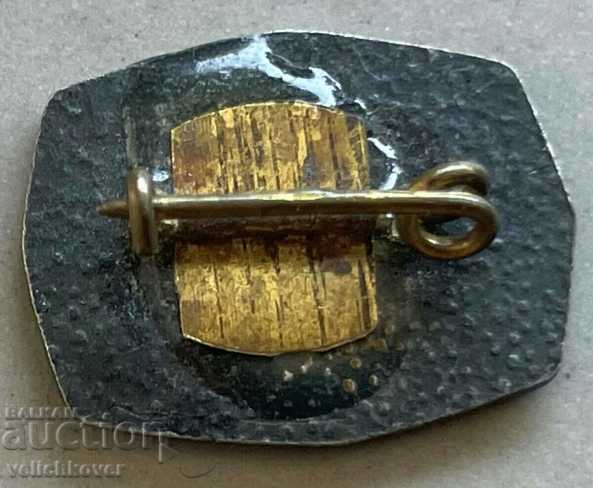 33605 Bulgaria sign Historical Museum Vidin Baba Vida with price 3.00 BGN | € 1.53 33605 Bulgaria sign Historical Museum Vidin Baba Vida with price 3.00 BGN | € 1.53