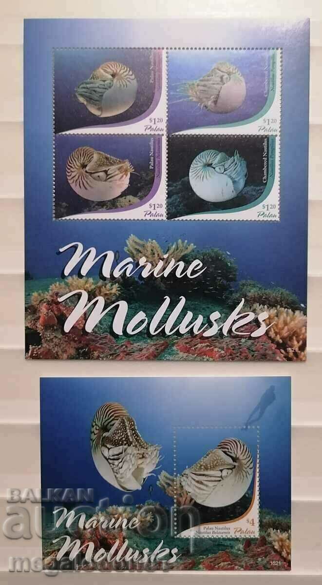 Palau - Nautilus, ocean fauna