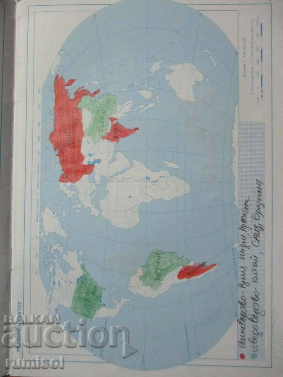 Auction  Contour maps of the world in geography and economics - 9th grade