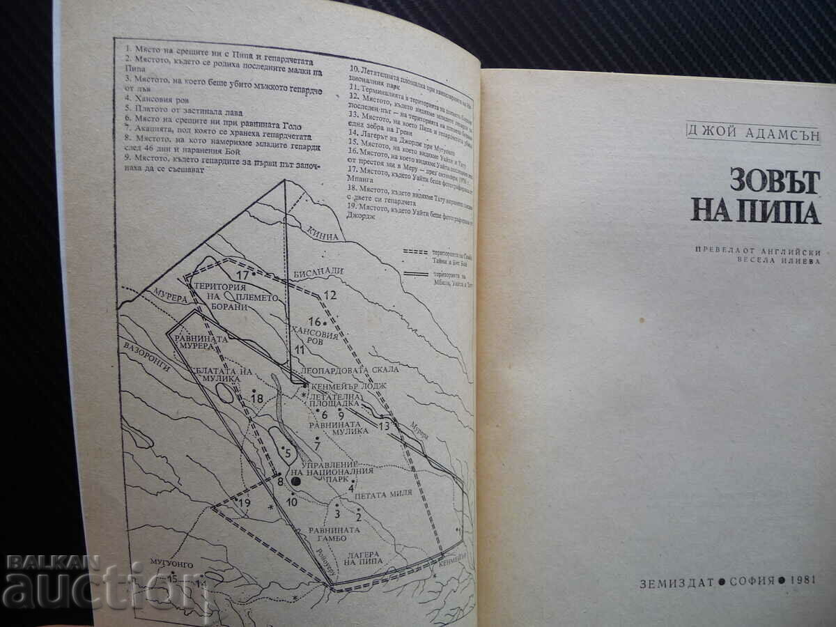 Auction Pippa's Call - Joy Adamson Cheetahs Africa wild carnivores Auction Pippa's Call - Joy Adamson Cheetahs Africa wild carnivores