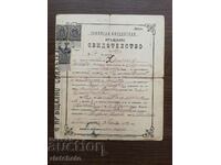 Baptism certificate. Pop, Sveshenik signature. Stamps