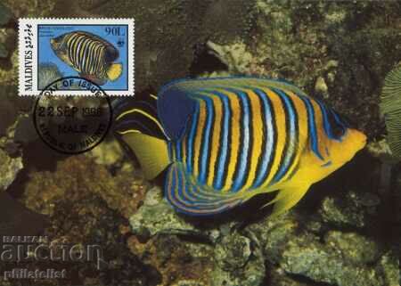 Maldives 1986 - 4 cards Maximum - WWF with price 4.00 BGN | € 2.05 Maldives 1986 - 4 cards Maximum - WWF with price 4.00 BGN | € 2.05