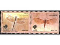 Clear Marks Fauna Insect Butterfly Dragonfly 2016 Brazil