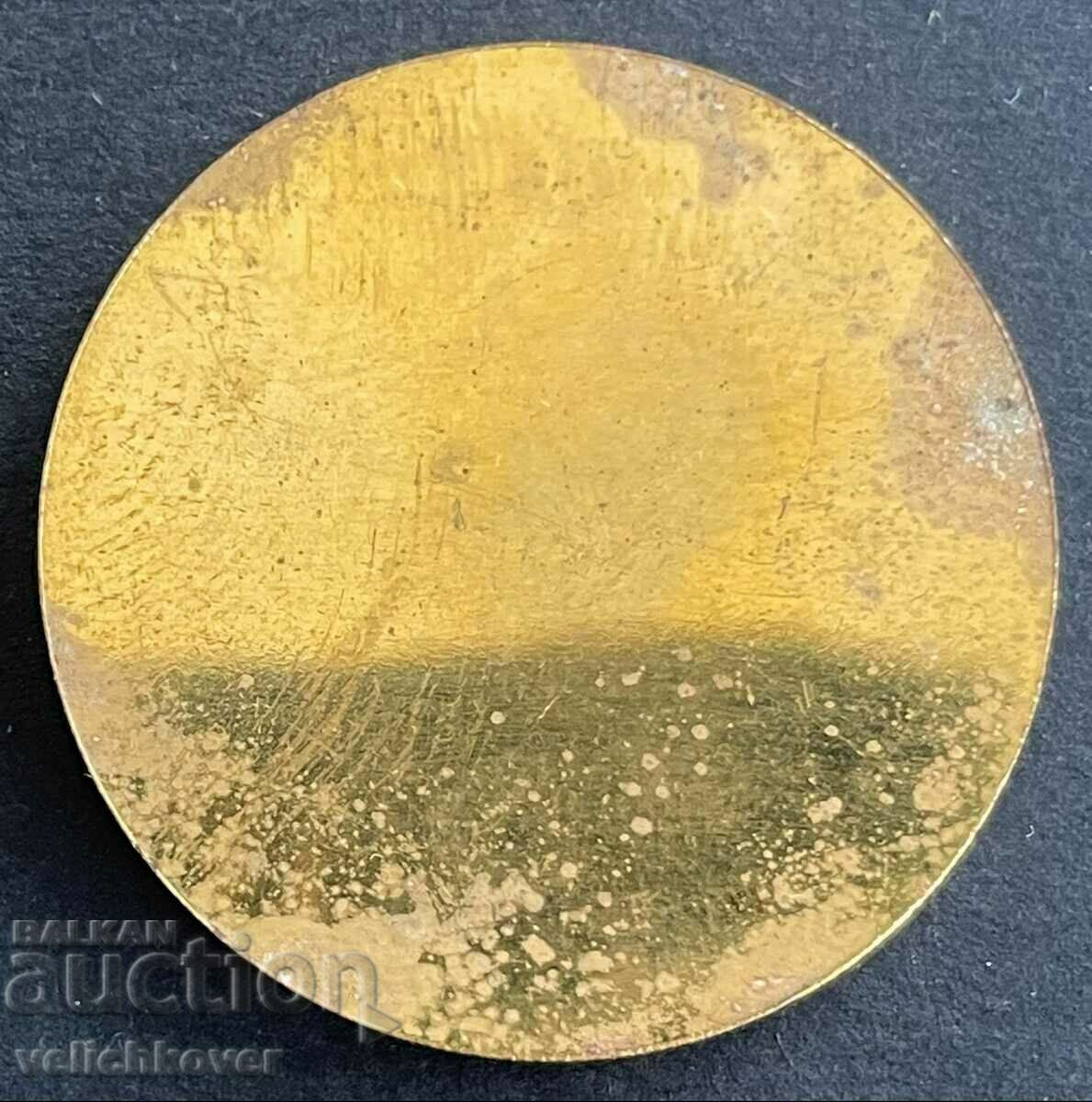 33691 Bulgaria plaque 1100 from the Death of Methodius 1985 with price 50.00 BGN | € 25.56 33691 Bulgaria plaque 1100 from the Death of Methodius 1985 with price 50.00 BGN | € 25.56