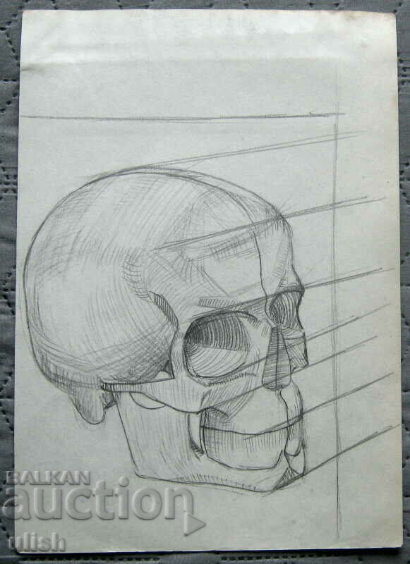 Old drawing - memento mori skull - pencil