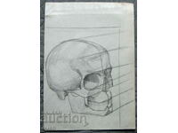 Desen vechi - craniu memento mori - creion