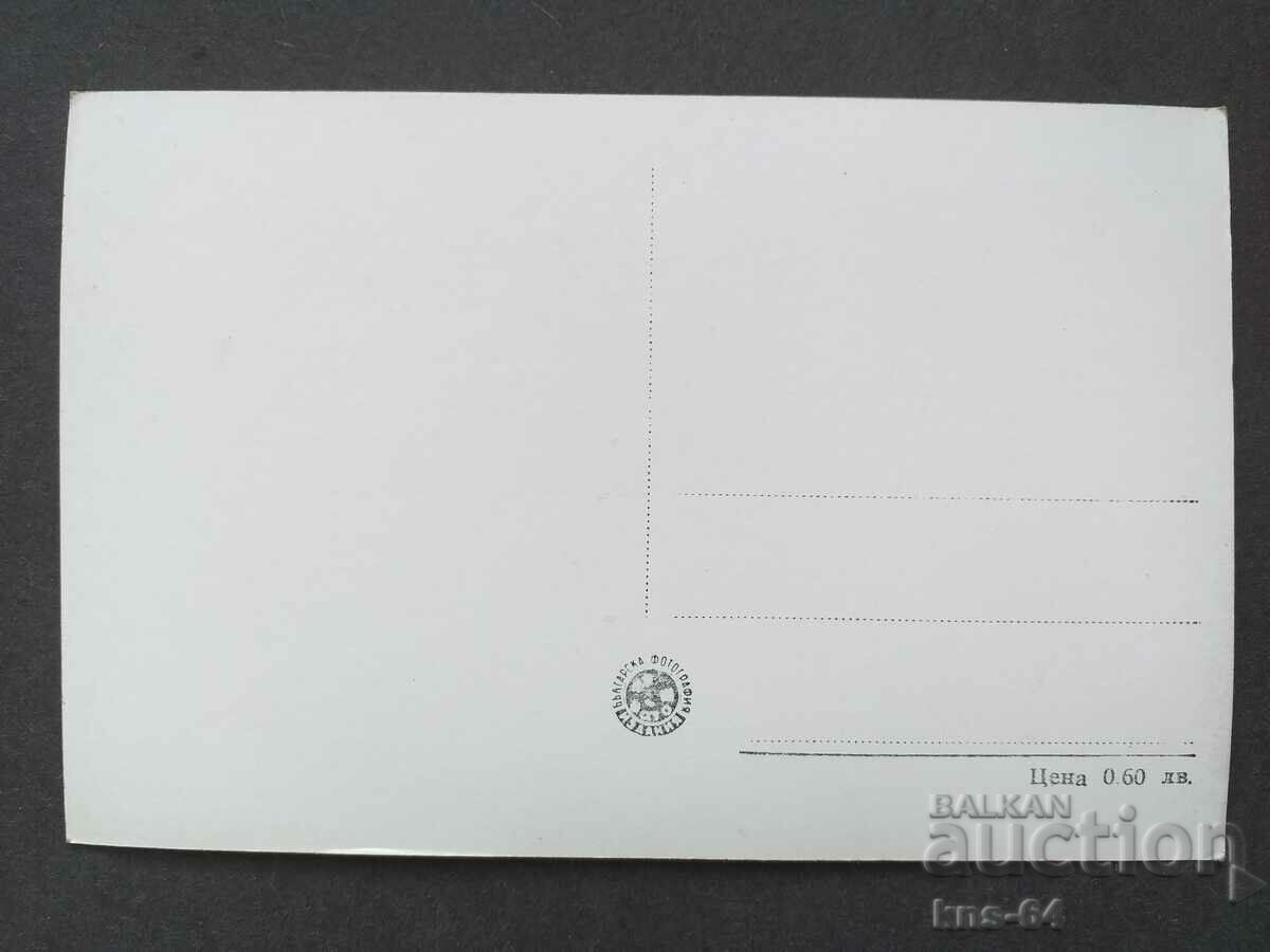 Artists with price 0.70 BGN | € 0.36 Artists with price 0.70 BGN | € 0.36