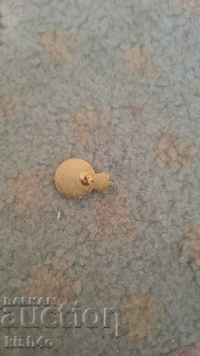 UEFThe Life Guards Badge with price 10.00 BGN | € 5.11