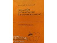 Fungal diseases of bee brood - Kancho Kanchev